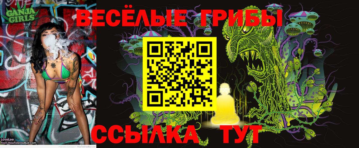 Галлюциногенные грибы Psilocybine cubensis Ревда