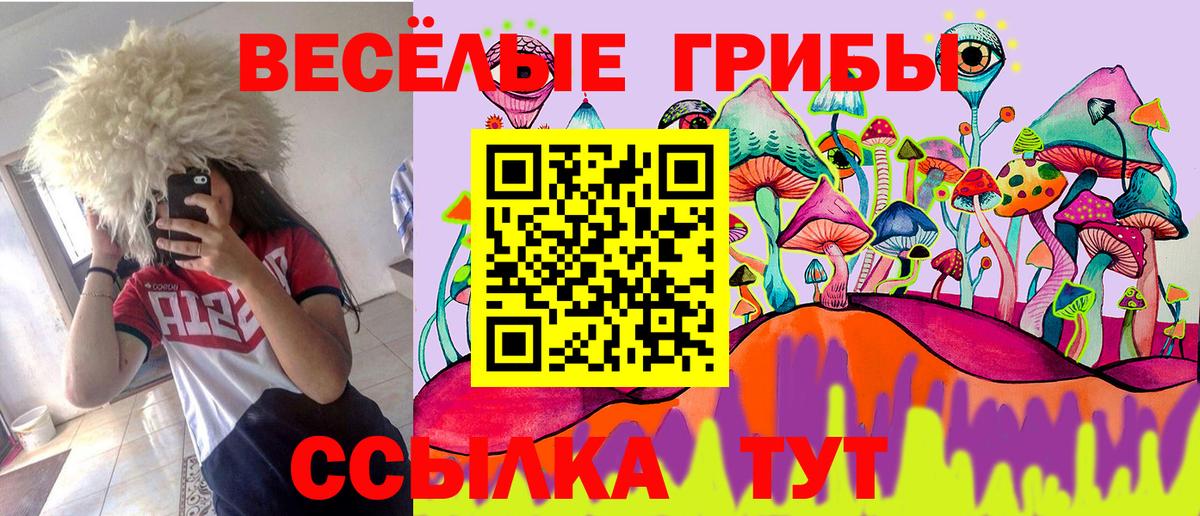 Галлюциногенные грибы ЛСД  Вход с VPN  Ревда 